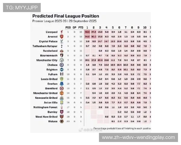 2025赛季阿森纳队英超球员名单全览及战术配置