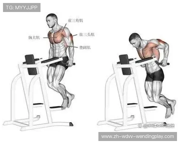 健身器材锻炼手臂力量的科学训练方法 健身器材锻炼手臂力量的科学训练方法